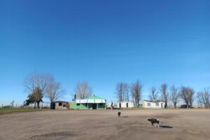 Almacen y Bar La Suerte