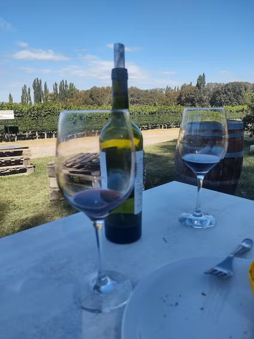 Bodega Boutique Mirador de Estrellas