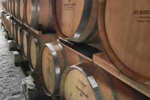 Bodega Humberto Canale