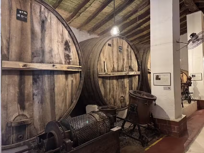Bodega Vasija Secreta