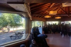 Bodeg&oacute;n los juncos