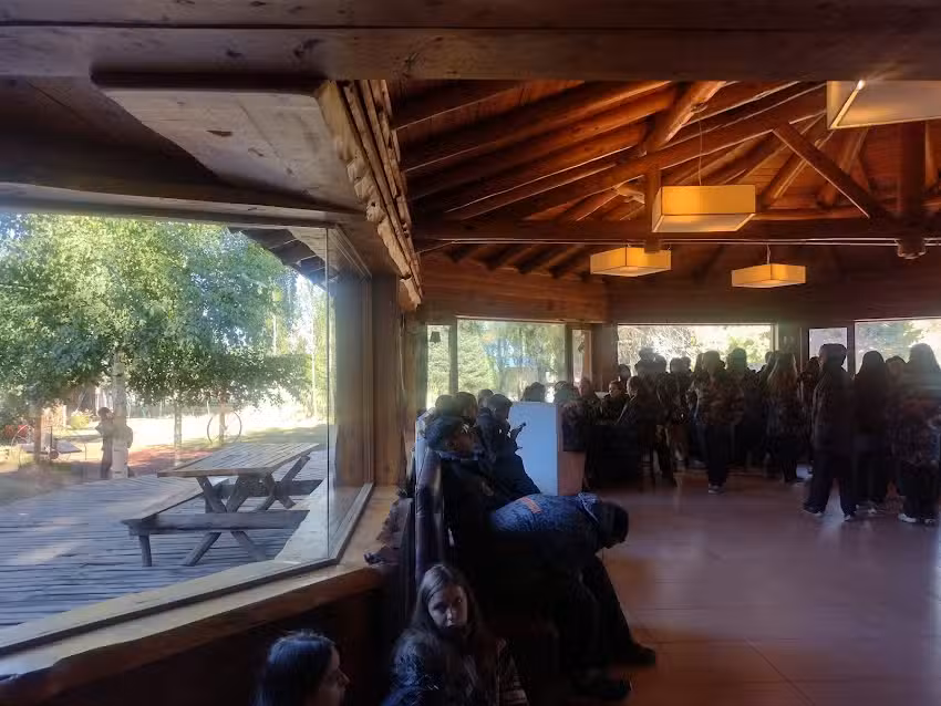 Bodeg&oacute;n los juncos