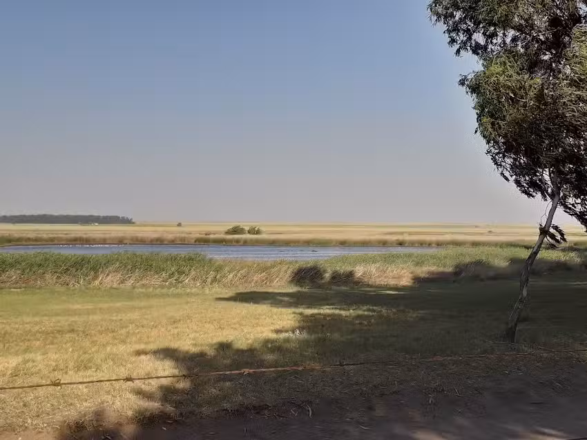 Cantina Club De Pesca Saavedra