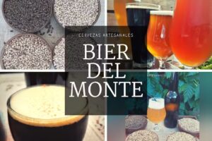 Cerveceria Artesanal Bierdelmonte