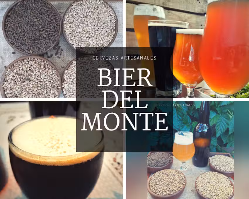 Cerveceria Artesanal Bierdelmonte
