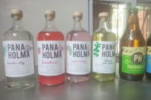 Cerveza Artesanal Panaholma