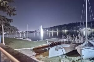 Com&eacute; cabr&oacute;n