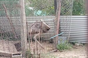 Comedor Puesta Del Sol