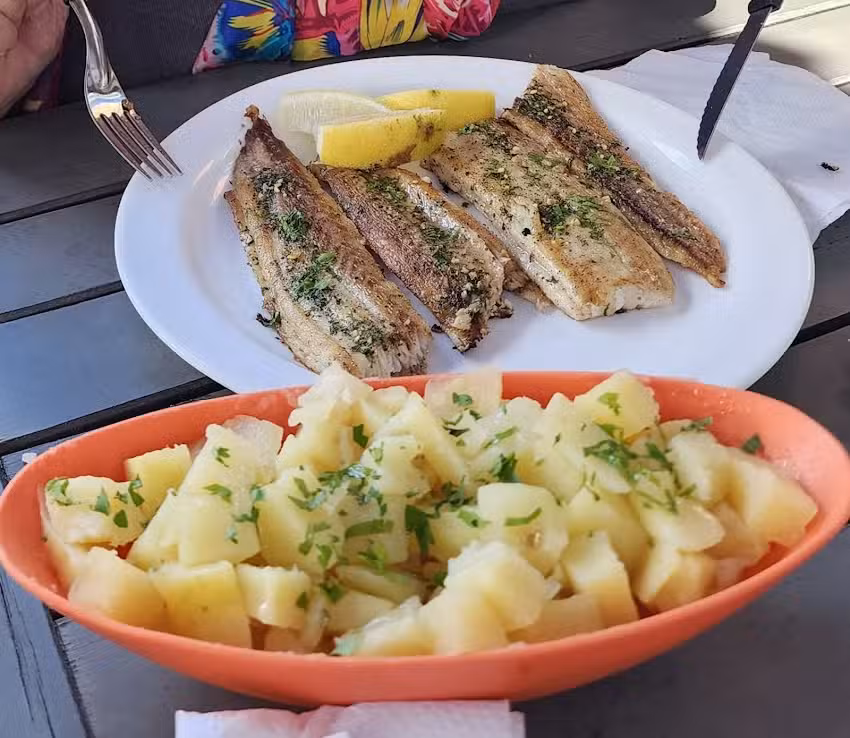 Cooperativa De Pescadores