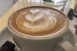 Crisol Recoleta Juncal