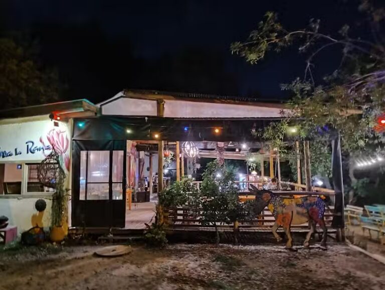 Croa La Rana | Bodegones