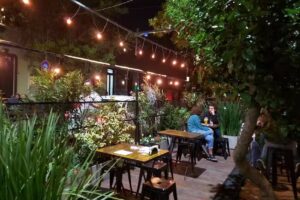 Desarmadero BarSession