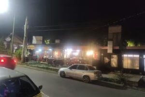 Diente libre parrilla