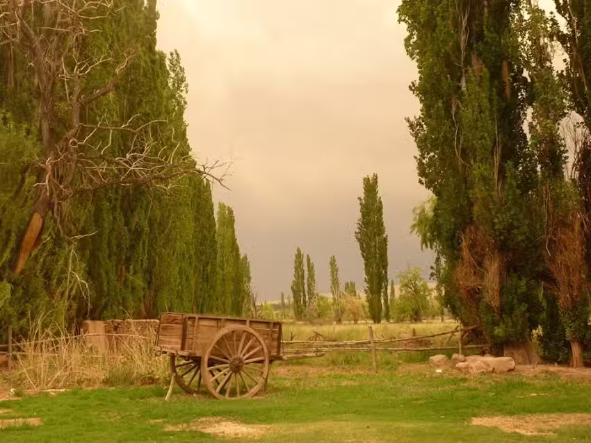 Don Lisandro Hostal Rest&oacute;