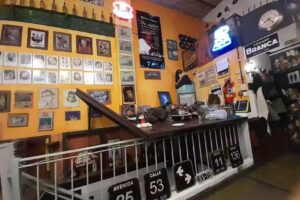 El &Aacute;ngel Gris