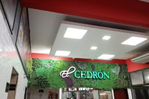 El Cedr&oacute;n