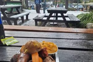 El nómade colonia suiza