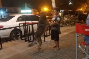 El Nuevo Rastro Gutierrez