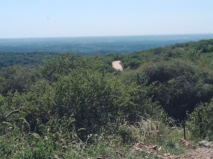 El Nuevo Rinc&oacute;n