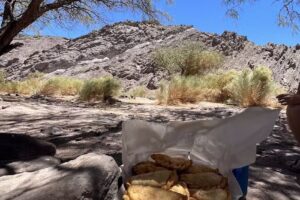 Empanadas Doña Blanca