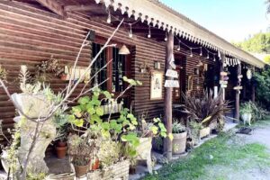 Fonda De Guillermina