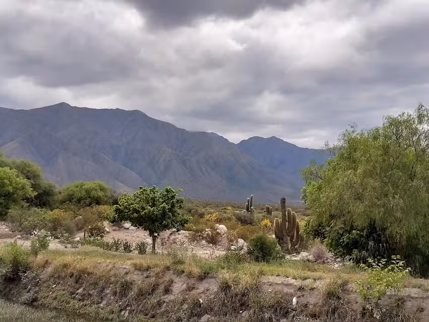 Hosteria Aca Anillaco