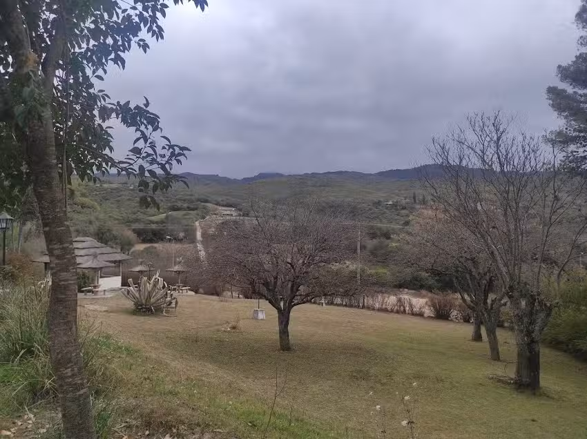 Hoster&iacute;aEl Bols&oacute;n