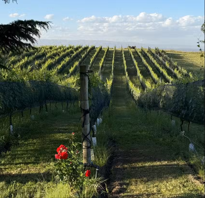 Juana Urbana Restaurante Villa Yacanto