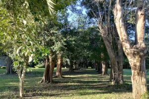 La Bartola Resto de Campo