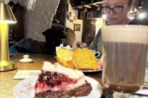 La Caba&ntilde;a Del Bosque