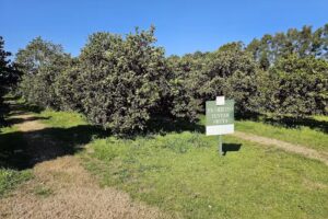 La Campi&ntilde;a de M&oacute;nica y C&eacute;sar