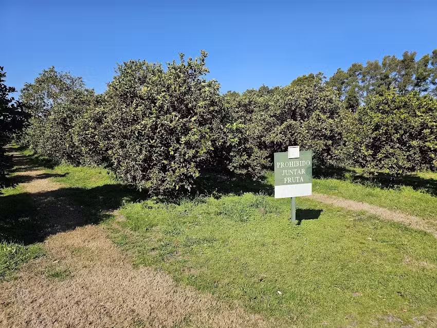 La Campi&ntilde;a de M&oacute;nica y C&eacute;sar