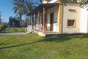 La Casa De Turron Juarez