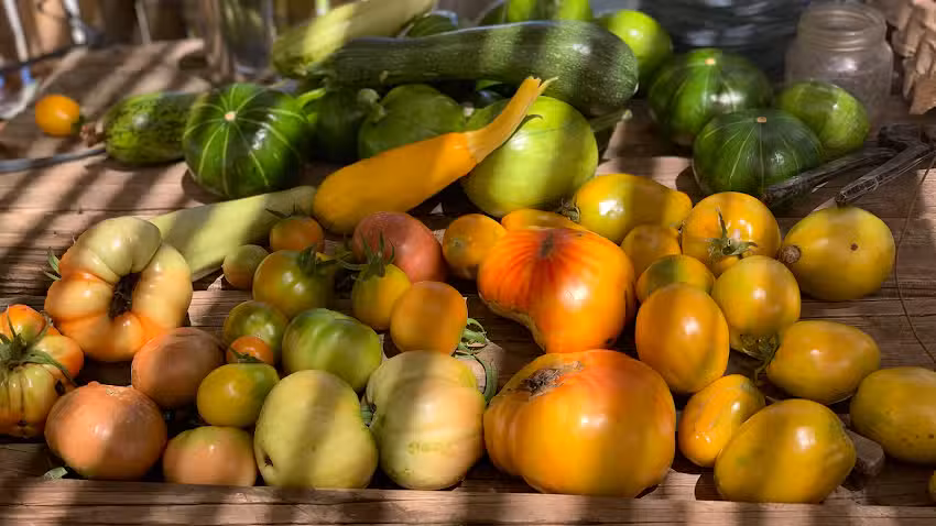 La Pebeta Restaurant Proveedur&iacute;a y Granja