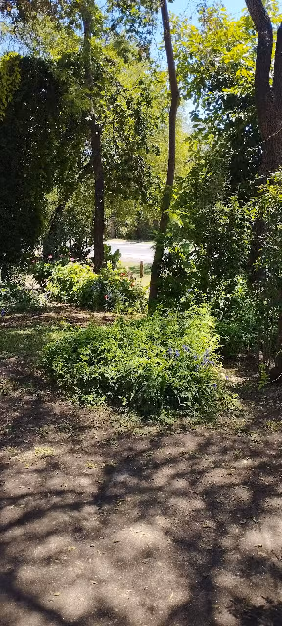 Las Rosas Restaurante