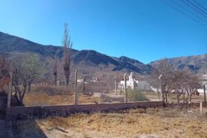 Los Tatas Sabores para deleitar