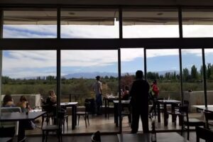 Mevi Bodega Boutique