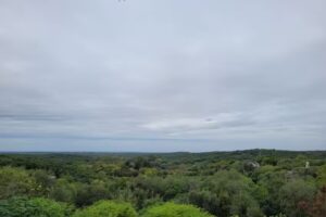 Mir&aacute; Silvina Restor&aacute;n