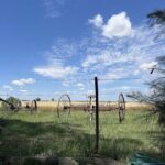 Parrilla Don Alfredo