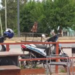 Parrilla El Galpon