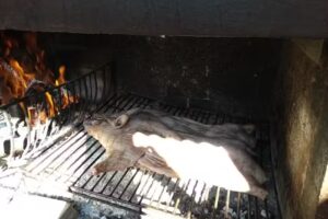 Parrilla la Solita