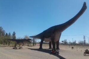 Parrilla Lo De Román y Cia