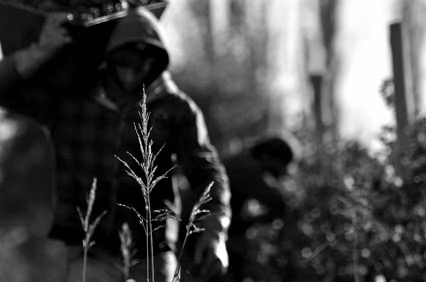 Peque&ntilde;a Bodega