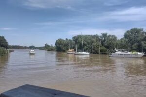 Pizzeria El Pajarito