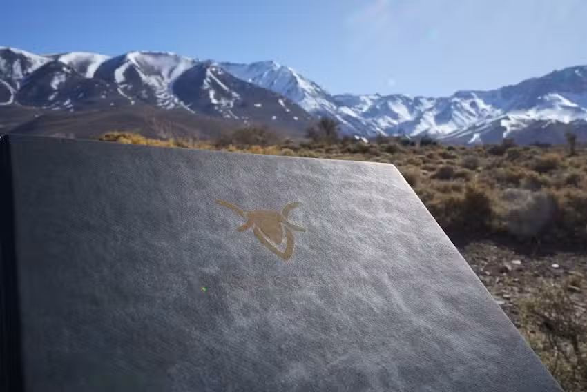 Reba&ntilde;os Resto Los Molles