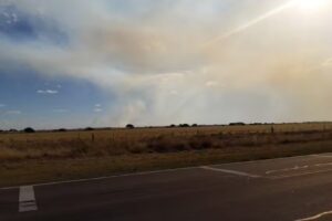 Regionales El Pampeano