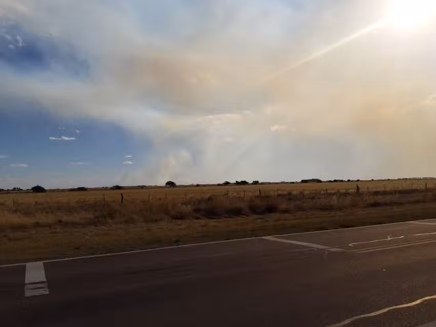 Regionales El Pampeano