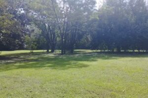 Restaurante Don Santiago Ca&ntilde;uelas