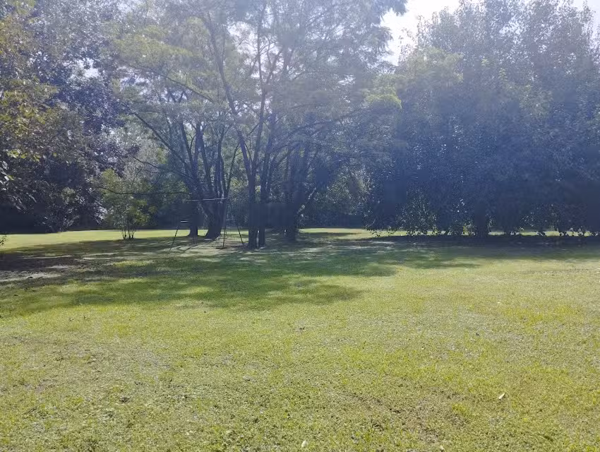 Restaurante Don Santiago Ca&ntilde;uelas