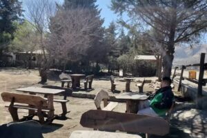 Restaurante El Museo